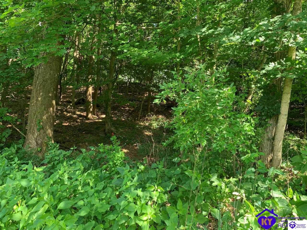 LOT 00 NEPTUNE DRIVE, RADCLIFF, KY 40160, photo 1 of 2
