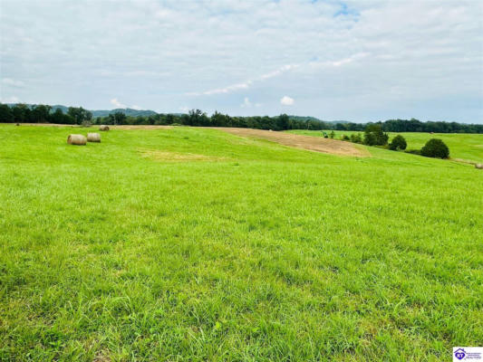 TRACT 2 BROWN SISTERS RD, BRADFORDSVILLE, KY 40009 - Image 1