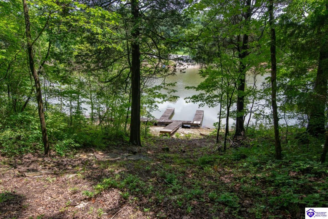 3 S LAKESIDE LN, LEITCHFIELD, KY 42754, photo 1 of 42