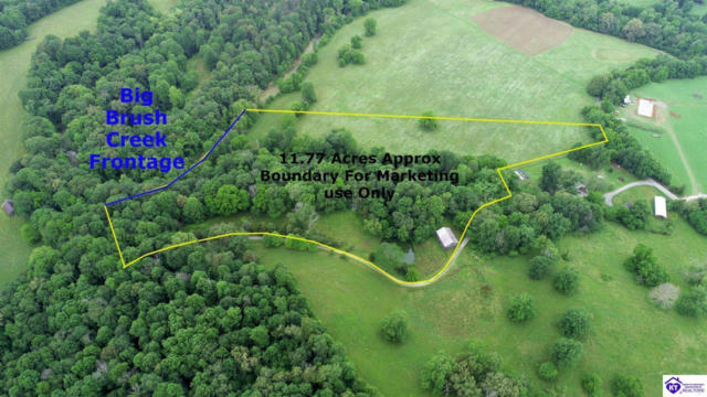 TRACT 13 RAINBOW TROUT ROAD, SUMMERSVILLE, KY 42782 - Image 1