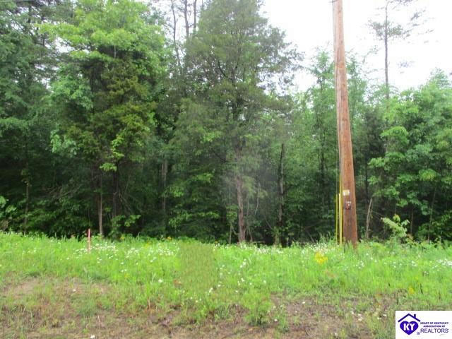 LOTS 18 & 19 BRIER CREEK ROAD, MAMMOTH CAVE, KY 42259, photo 1