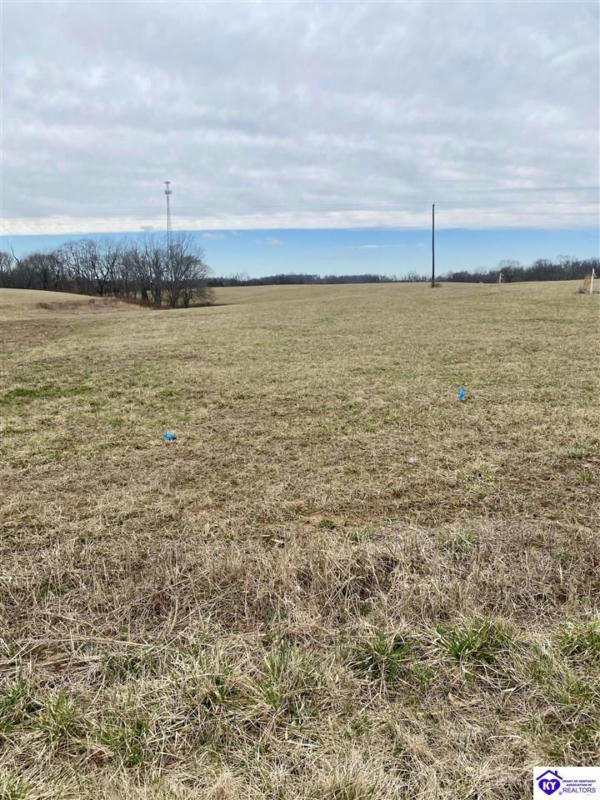 TRACT 4 SALEM LAKE ROAD, HODGENVILLE, KY 42748, photo 1 of 3