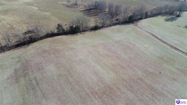 TRACT 2-5 OAK GROVE CHURCH ROAD, SMITHS GROVE, KY 42171, photo 5 of 9