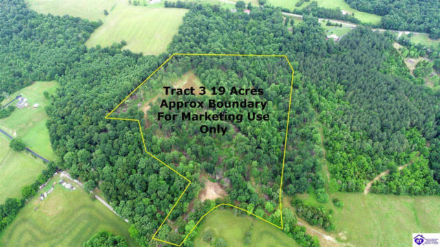TRACT 3 HORNBACK LANE, CANEYVILLE, KY 42721 - Image 1