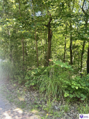 LOT 758 CHESTNUT DRIVE, MAMMOTH CAVE, KY 42259 - Image 1