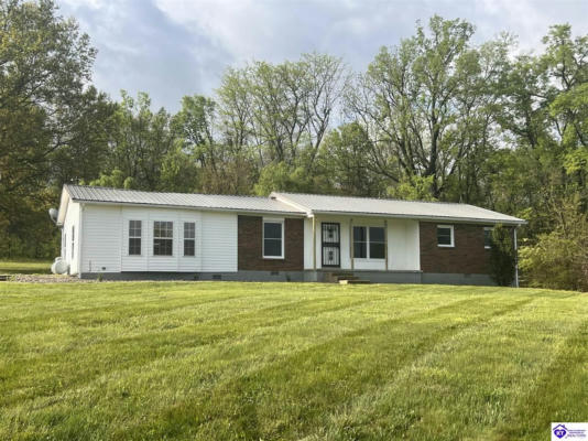 11485 HIGHWAY 60, GUSTON, KY 40142 - Image 1