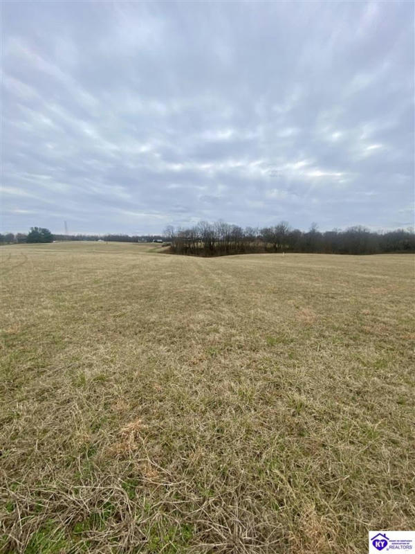 TRACT 3 SALEM LAKE ROAD, HODGENVILLE, KY 42748, photo 1 of 4