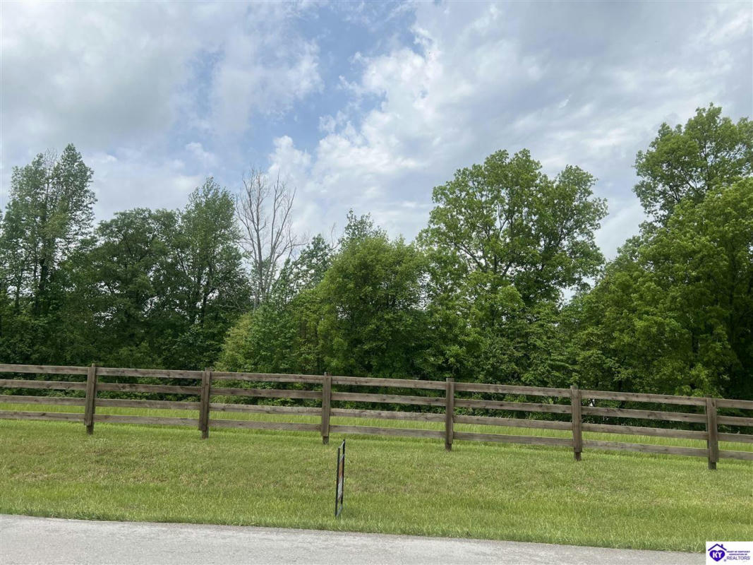 LOT2D OVERALL PHILLIPS ROAD, ELIZABETHTOWN, KY 42701, photo 1 of 6