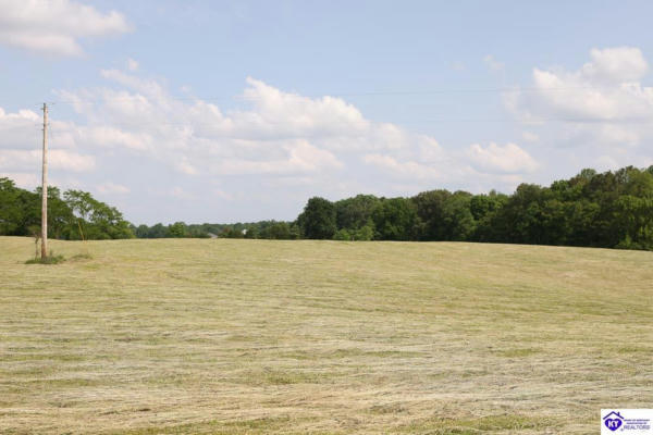 TRACT 3 WEBSTER ROAD, CAMPBELLSVILLE, KY 42718 - Image 1