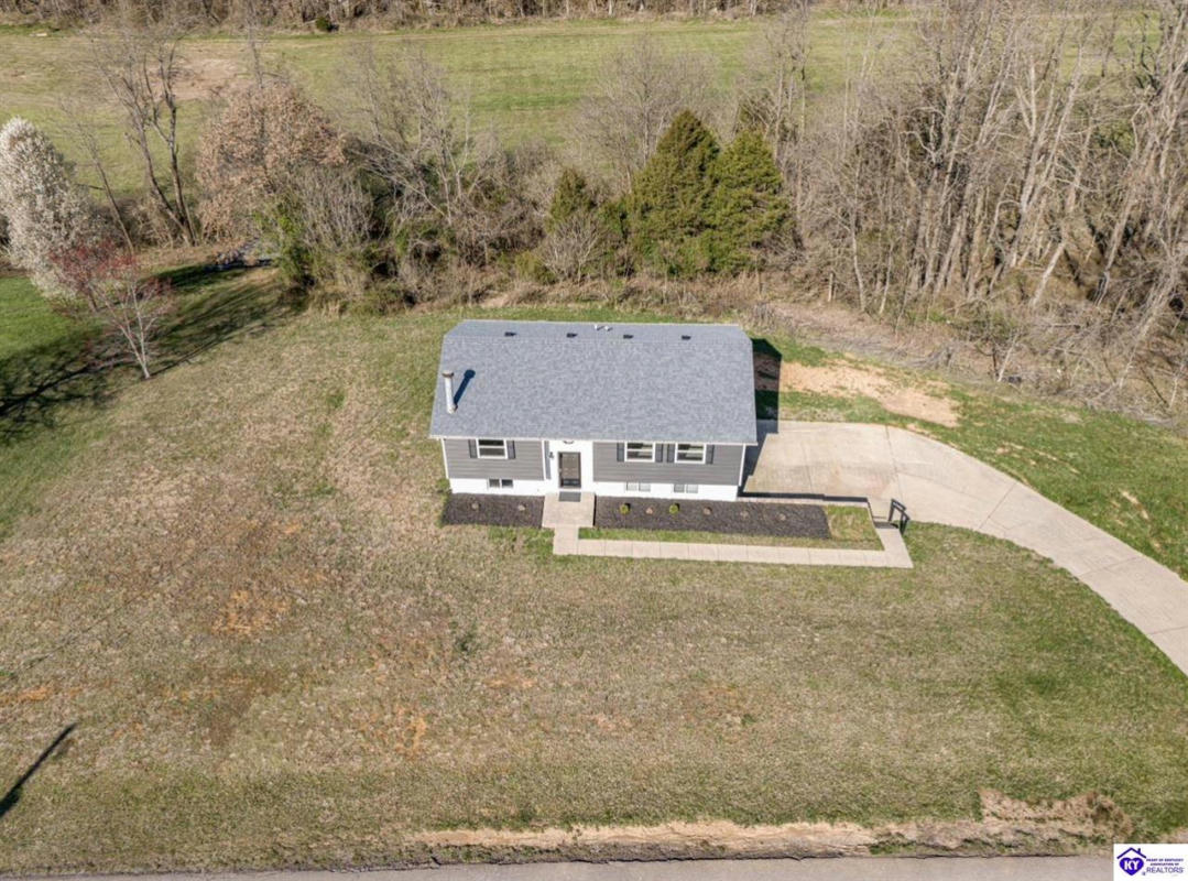 125 CREEKVIEW LN, RINEYVILLE, KY 40162, photo 1 of 61