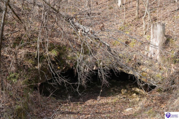TRACT 2 OLD DIXIE HIGHWAY, HORSE CAVE, KY 42749, photo 4 of 23