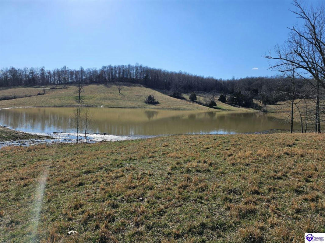TRACT 10 TROUTMAN LANE, CLARKSON, KY 42726, photo 1 of 14